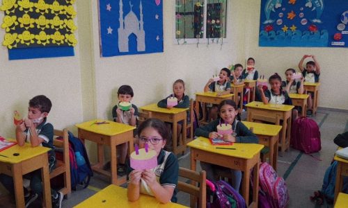 Primary 2D Math Activity Second week birthday by graph (7)